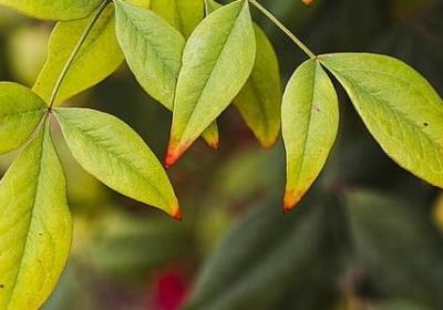 组歌励志歌曲(热门10句)