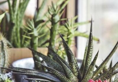 考研励志名言(通用40句)