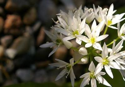 睡前励志故事(热门50句)