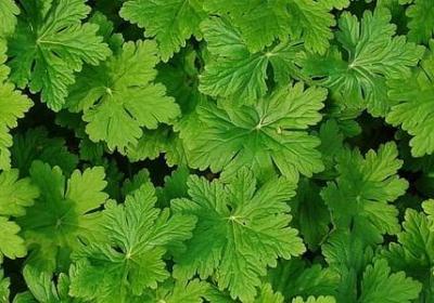 经典图片带字励志(优选40句)