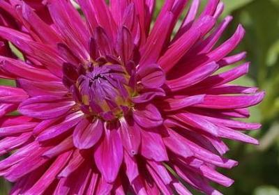 舞蹈励志语录(优选15句)