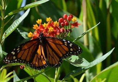 经典励志句子致自己(精选60句)