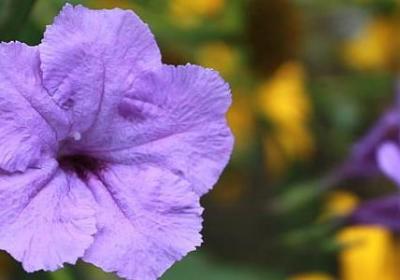 篮球励志故事(共10句) 篮球励志故事(共10句)