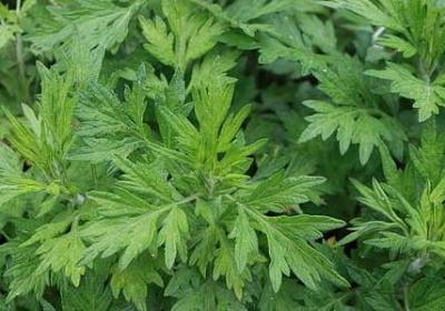 科比布莱恩特励志名言(推荐50句) 科比布莱恩特励志名言(推荐50句)