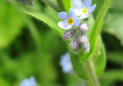 职场励志故事及感悟(70句) 职场励志故事及感悟(70句)