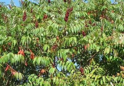 背景图励志(通用70句) 背景图励志(通用70句)