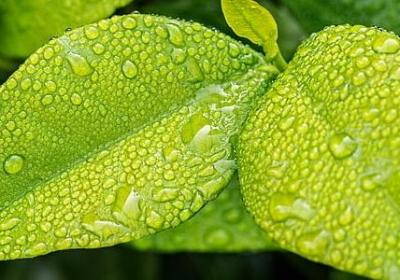 看励志电影观后感(汇总10句) 看励志电影观后感(汇总10句)