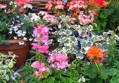 英文单词励志(优选50句) 英文单词励志(优选50句)