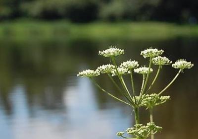 祝福语简短励志(实用40句) 祝福语简短励志(实用40句)