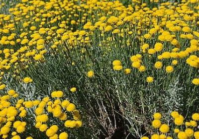 站得高看得远的励志话(必备40句) 站得高看得远的励志话(必备40句)