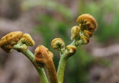 考研励志句子(热门70句) 考研励志句子(热门70句)