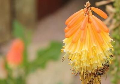 类似天道酬勤的励志成语(实用50句) 类似天道酬勤的励志成语(实用50句)