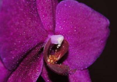 经典励志诗词(合集39句) 经典励志诗词(合集39句)