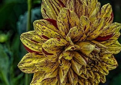 简短人生格言励志短句(必备40句) 简短人生格言励志短句(必备40句)