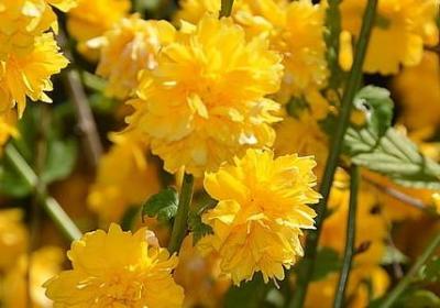 而立之年励志语(合集50句) 而立之年励志语(合集50句)