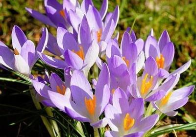 祝大学生的励志祝福语(必备40句) 祝大学生的励志祝福语(必备40句)