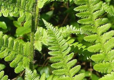 经典电影台词励志(优选20句) 经典电影台词励志(优选20句)