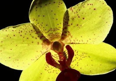 简短有力的励志句子(实用70句) 简短有力的励志句子(实用70句)