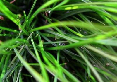 简短励志名言(推荐40句) 简短励志名言(推荐40句)