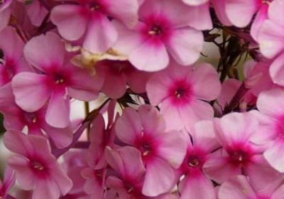 红色励志故事(精选10句) 红色励志故事(精选10句)