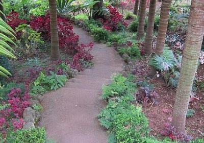 花的励志句子(通用40句) 花的励志句子(通用40句)