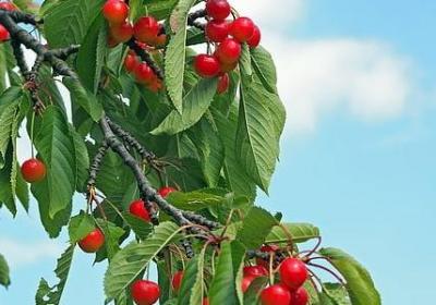 科比励志语录(热门40句) 科比励志语录(热门40句)