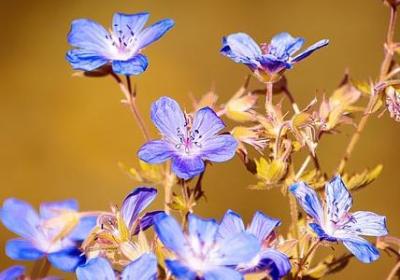 英文励志小故事(汇总20句) 英文励志小故事(汇总20句)