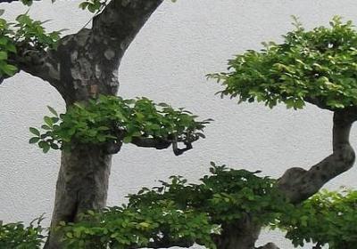 网名励志(精选50句) 网名励志(精选50句)