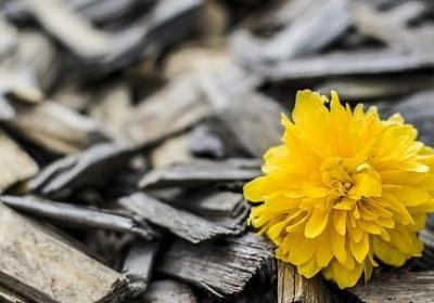 经典语录 励志(汇总70句) 经典语录 励志(汇总70句)