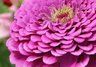 考试励志(优选69句) 考试励志(优选69句)