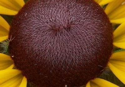 考研励志语录狠一点(60句) 考研励志语录狠一点(60句)