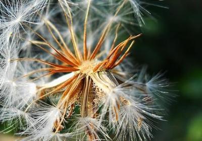 给高一学生的励志寄语(优选40句) 给高一学生的励志寄语(优选40句)