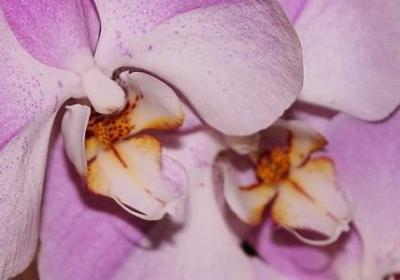 经典励志图片文字图片(合集70句) 经典励志图片文字图片(合集70句)