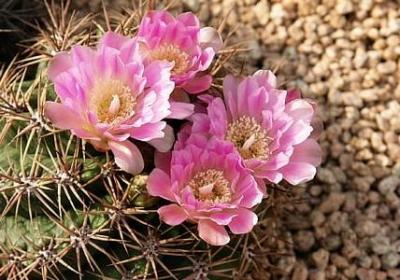 纹身英文短句励志(热门60句) 纹身英文短句励志(热门60句)