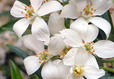 网名女励志(实用70句) 网名女励志(实用70句)