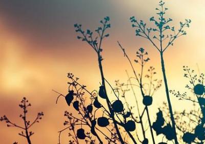 英文励志句子带翻译(合集80句) 英文励志句子带翻译(合集80句)