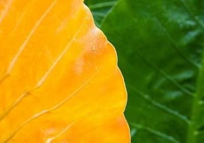 给自己的一封信励志800(优选9句) 给自己的一封信励志800(优选9句)