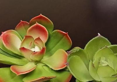 自律励志(汇总50句) 自律励志(汇总50句)