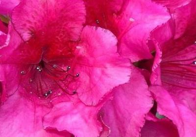 自己进步的励志句子(推荐50句) 自己进步的励志句子(推荐50句)