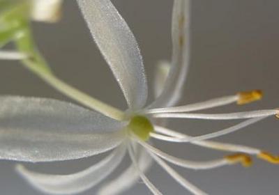 简短精辟的励志句子(合集60句) 简短精辟的励志句子(合集60句)