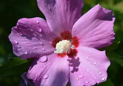 真人励志故事(10句) 真人励志故事(10句)