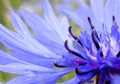 经典励志诗句(热门60句) 经典励志诗句(热门60句)