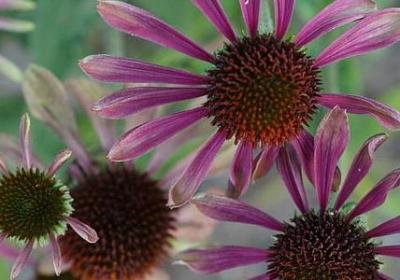 考研励志短句(通用50句) 考研励志短句(通用50句)