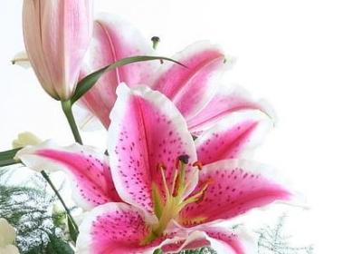 经典励志语录正能量(热门90句) 经典励志语录正能量(热门90句)