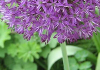 经典语录 励志短句(推荐40句) 经典语录 励志短句(推荐40句)