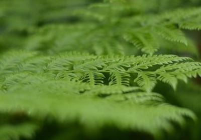 致高三学子的励志段落(推荐70句) 致高三学子的励志段落(推荐70句)