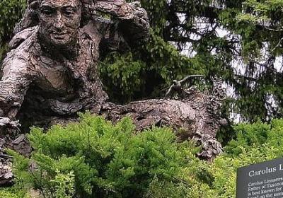 给高中生看的励志视频(必备15句) 给高中生看的励志视频(必备15句)