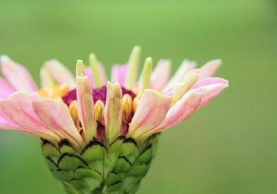 职场早会励志小故事(汇总10句) 职场早会励志小故事(汇总10句)