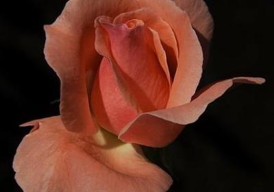 红色励志电影观后感(精选9句) 红色励志电影观后感(精选9句)