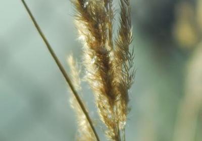 羽生结弦励志(热门15句) 羽生结弦励志(热门15句)